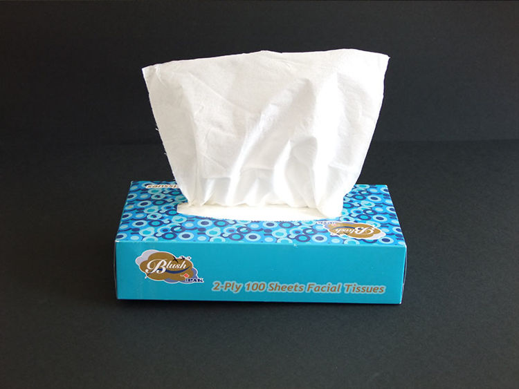 Picture of 0136 - BLUSH FACIAL TISSUES 2-PLY 100 sheets-square box